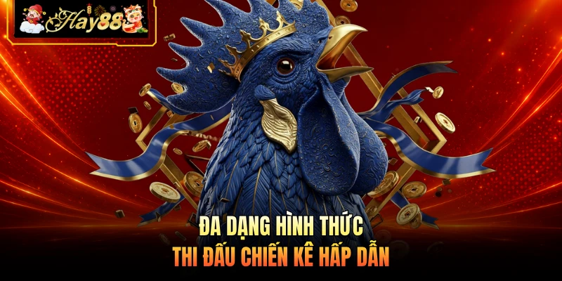 Nhà cái Hay88 Đa dạng hình thức thi đấu chiến kê hấp dẫn