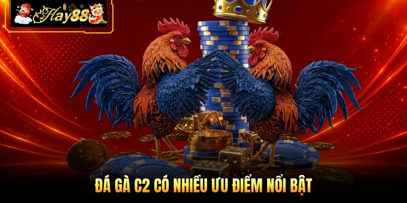 Nhà cái Hay88 Đá gà C2 có nhiều ưu điểm nổi bật