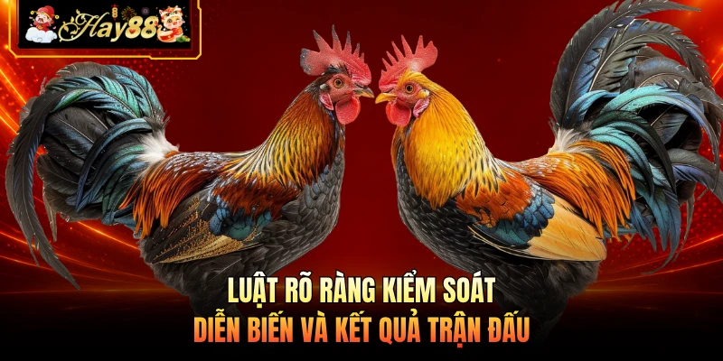 Luật rõ ràng kiểm soát diễn biến và kết quả trận đấu