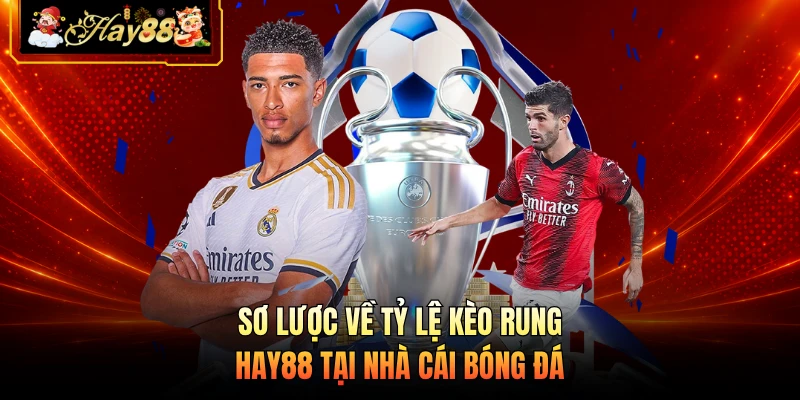 Sơ lược về tỷ lệ kèo rung HAY88 tại nhà cái bóng đá