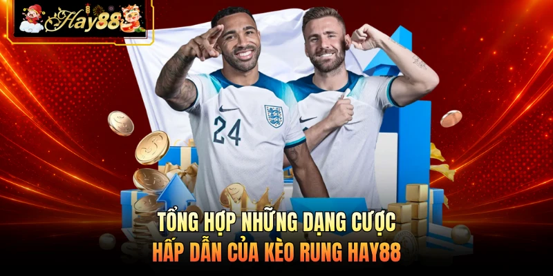 Tổng hợp những dạng cược hấp dẫn của kèo rung HAY88